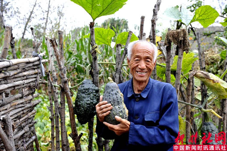 收获 700  来玉荷  摄