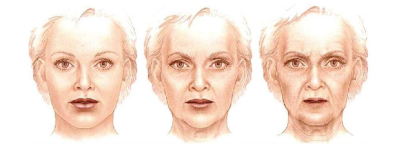 1545113648225682.png 1545113648225682.png